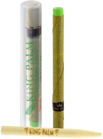 King Palm Slim with packing stick(x1)